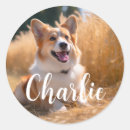 Search for dog lover wedding gifts Pet