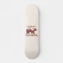 Search for bear skateboards State