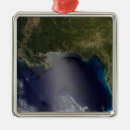 Search for florida christmas tree decorations United states