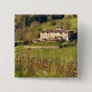 Search for winery badges Vineyard