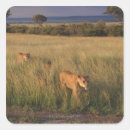 Search for land animal stickers Nature