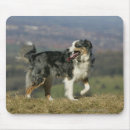 Search for panting mouse mats Canine photographer