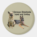 Search for buddies magnets Dog
