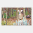 Search for white tail deer stickers Hunter