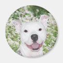 Search for grinning magnets Dog lover