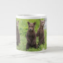 Search for big brown bear mugs Young animal