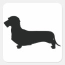 Search for wire haired dachshund stickers Dog