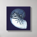 Search for seashell decor canvas prints Coastal