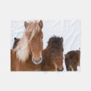 Search for icelandic horses blankets Superstock