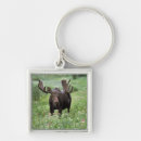 Search for moose antlers key rings Wildlife