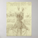 Search for human anatomy posters Nurse