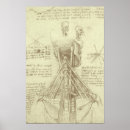 Search for human anatomy posters Nurse