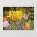 Search for tender postcards Nature