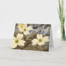 Search for spring bloom photography Blossoms
