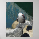 Search for seagulls posters California