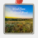 Search for cave christmas tree decorations Usa