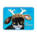 Search for bah magnets Cat