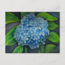 Search for hydrangea postcards Flower