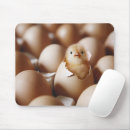 Search for baby chicks mouse mats Chicken