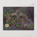 Search for spines postcards Nature