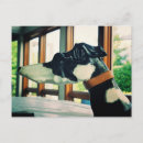 Search for locale postcards Photography