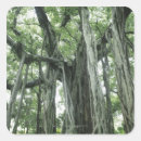 Search for tree trunk stickers Branch