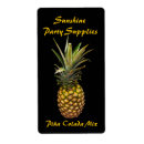 Search for pina colada Fruit