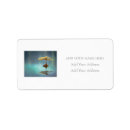Search for zen return address labels Nature