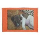 Search for puppies pillowcases Cute