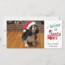 Search for santa paws christmas cards Puppies