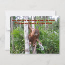 Search for conservation cards Nature