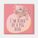 Search for piglets magnets Cute