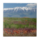Search for utah tiles America