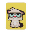 Search for sad rectangular magnets Funny