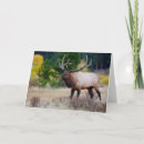 Search for bugle cards Antlers