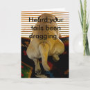 Search for canines photocards Dog