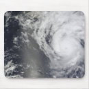 Search for baja mouse mats Space
