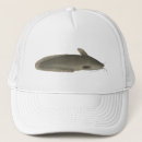 Search for catfish hats Freshwater