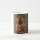 Search for prairie dogs mugs Cute