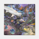 Search for swim design magnets Sea