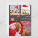 Search for elf photo christmas cards Modern