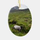 Search for westport Irish