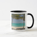 Search for windsurf mugs Sea