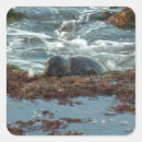 Search for california envelope seals Sunset