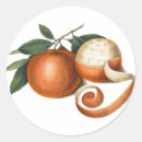 Search for mandarin orange stickers Elegant
