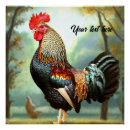 Search for colorful rooster art Fowl