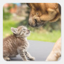Search for cat and dog best friends stickers Cute