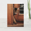 Search for doorway cards Photography