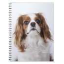 Search for animal print notebooks Canine