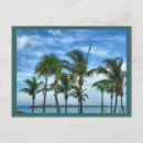 Search for bahamas postcards Palms